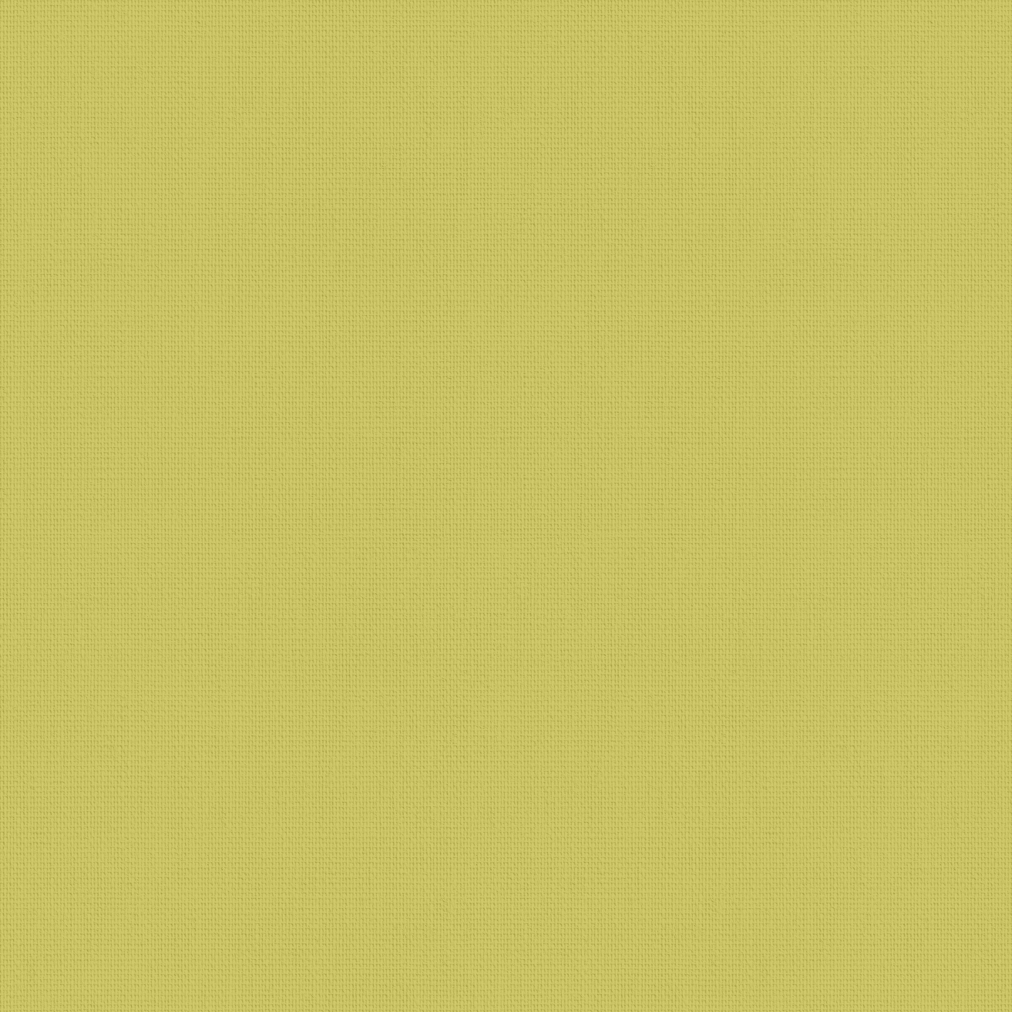 Arona Zest 2.4mt Roller